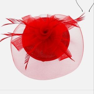 Beautiful 3pc Fascinator Kentucky Derby Cocktail Tea Parties Races Church Hat